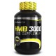 HMB 3000 200gr (BIOTECH USA)