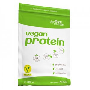 VEGAN PROTEIN 500gr (BEST BODY)