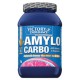 Amylo Carbo 1000gr (WEIDER) 