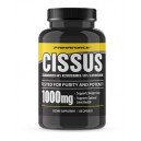 CISSUS 1000mg 120caps (PRIMAFORCE)
