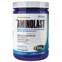 AMINOLAST 420gr (GASPARI)