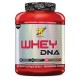 WHEY DNA 1870gr (BSN) 
