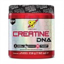 GLUTAMINE DNA 309gr (BSN)