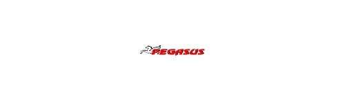 PEGASUS