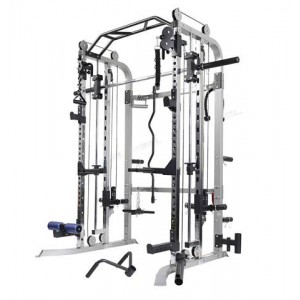 PEGASUS &Lambda;-529 CBT Functional Trainer