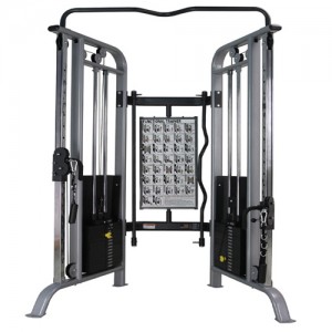 PEGASUS &Lambda;-533 FTS (Functional Trainer System)