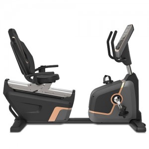 VIKING R-007 PRO BIKE &Kappa;&Alpha;&Theta;&Iota;&Sigma;&Tau;&Omicron; &Pi;&Omicron;&Delta;&Eta;&Lambda;&Alpha;&Tau;&Omicron;
