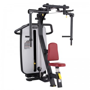 Viking Rear Delt Peck Fly (M-002A)