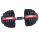 Viking Iron Flex Reloaded