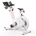 VIKING Spin Bike S-100F