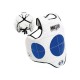 Amila Hogu Chest Protector 38613